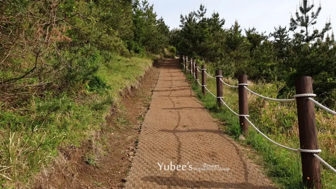 아부오름 올라가는 길