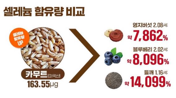 카무트-효소-효능
