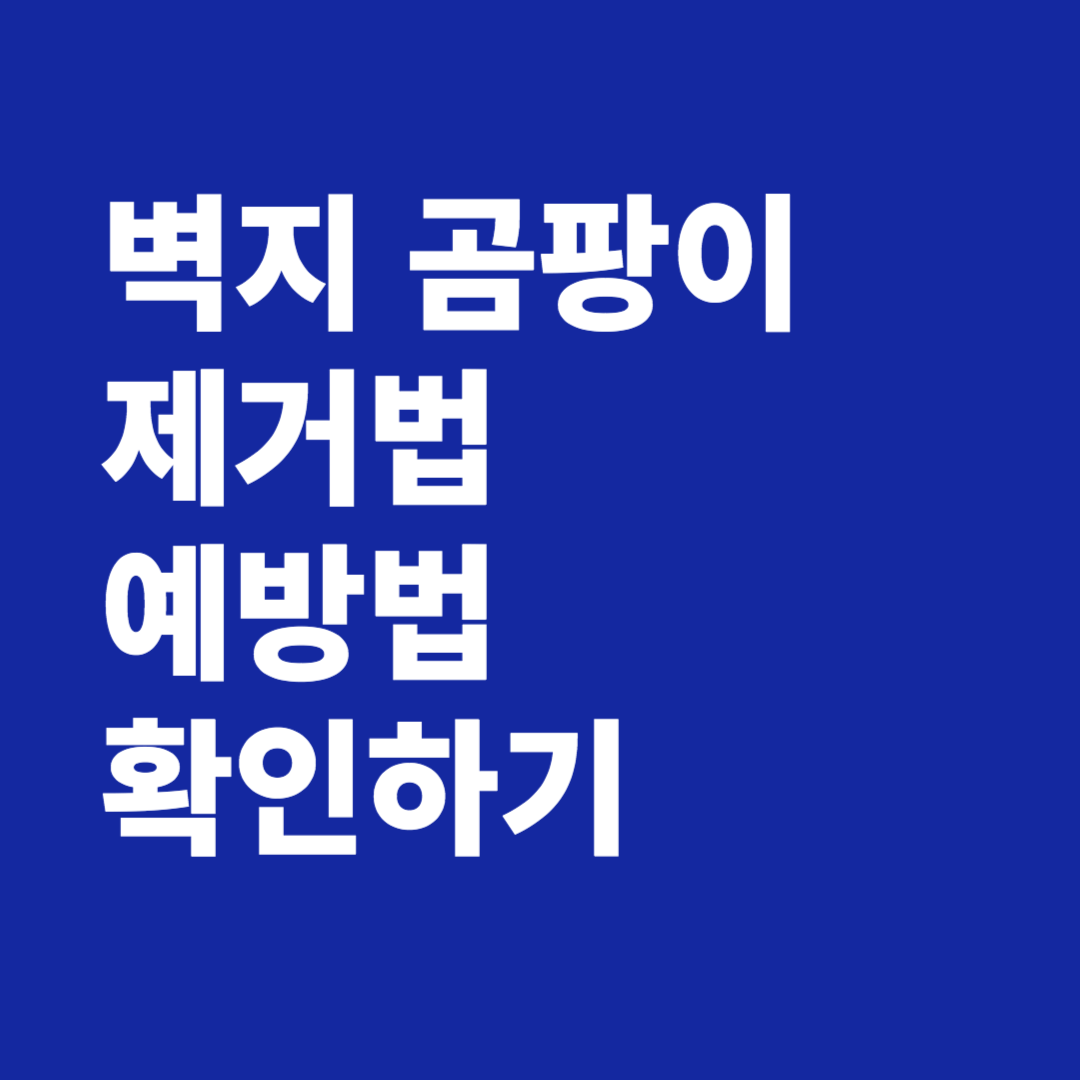 벽지 곰팡이 제거법 예방법 확인하기