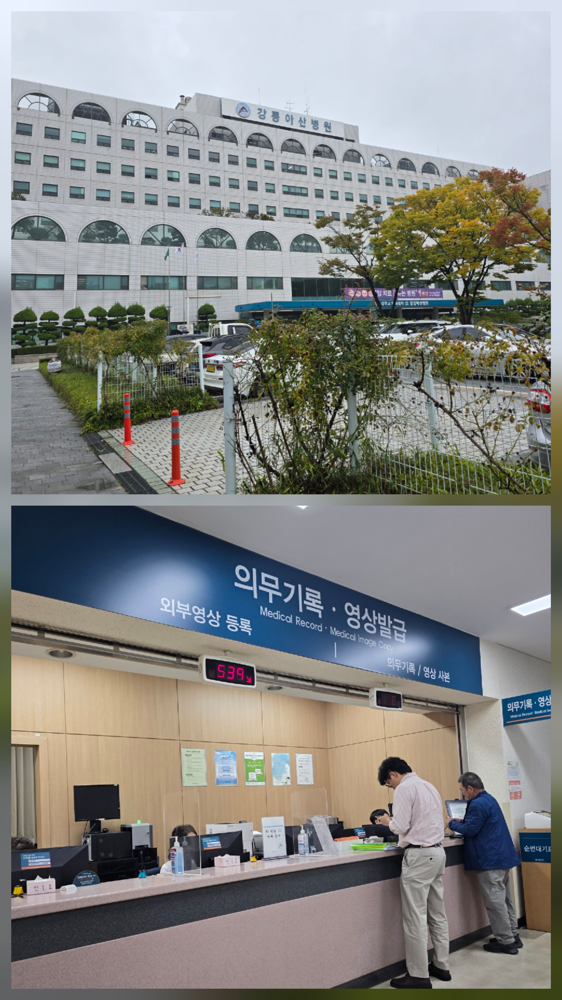 강릉아산병원 강릉아산병원정형외과 강릉아산병원무릎수술 강릉아산병원반월상연골파열 반월상연골파열 반월상연골파열수술 무릎수술 정형외과 연골파열 무릎연골수술 반월상연골파열수술비 무릎연골수술비 무릎통증수술