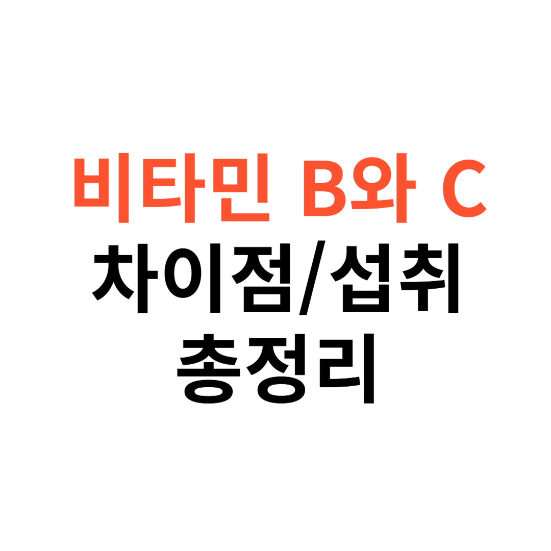 비타민 B와 C의 주요 차이점