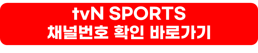 2023 AFC 카타르 아시안컵