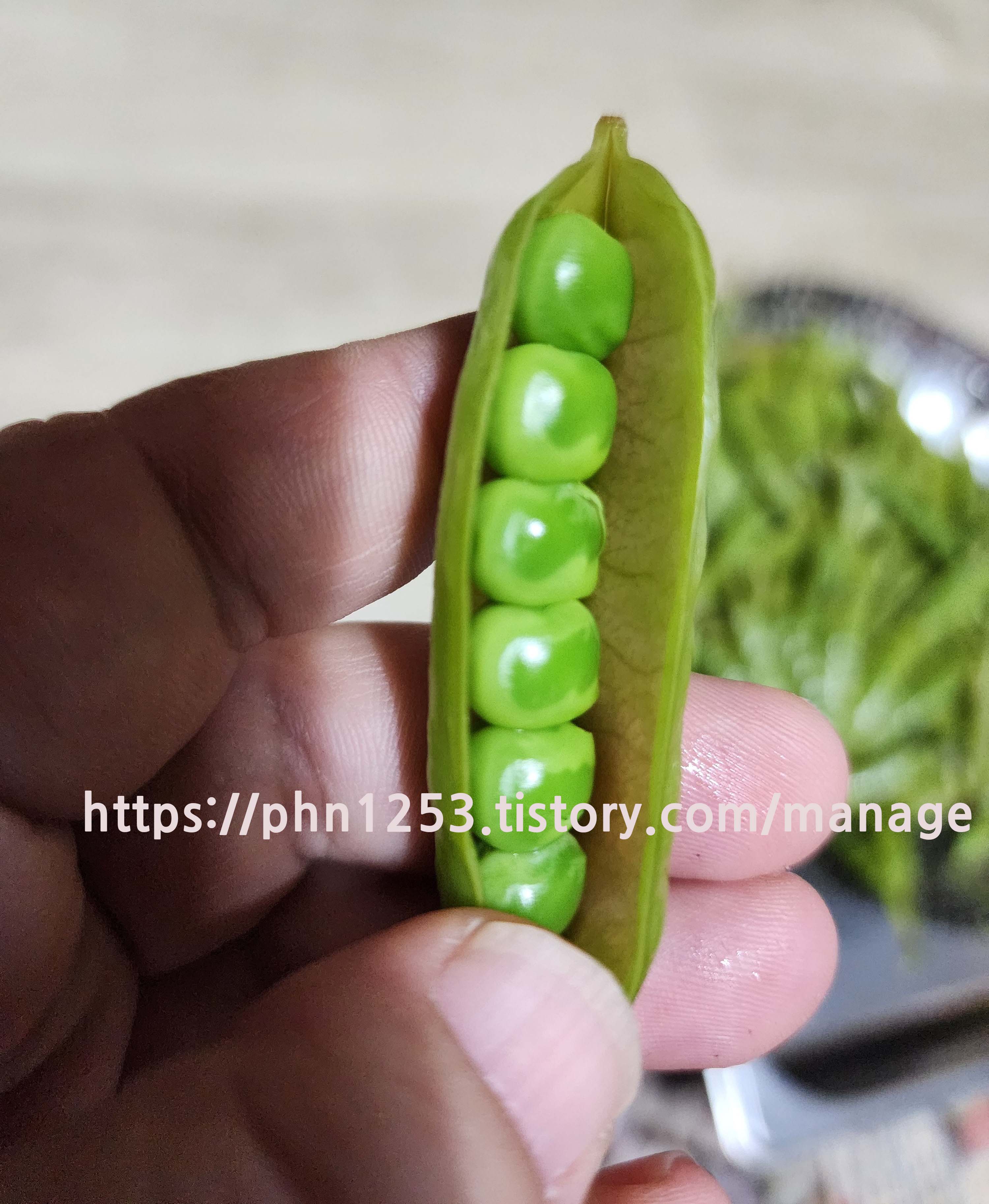 Alt 속성 문제 해결 설명 이미지