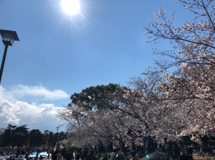 일본 나고야 자유여행 코스 : 관광명소, 가볼만한곳