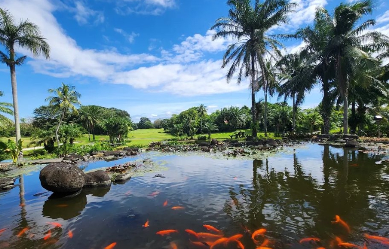 필리핀골프투어 마닐라 사우스우즈 골프 앤드 컨트리 클럽 01