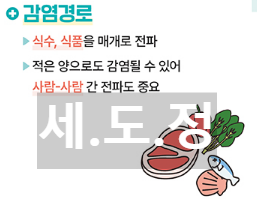 여름철 장출혈성대장균 감염경로