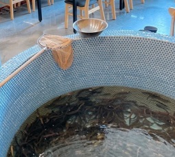 미꾸라지수족관