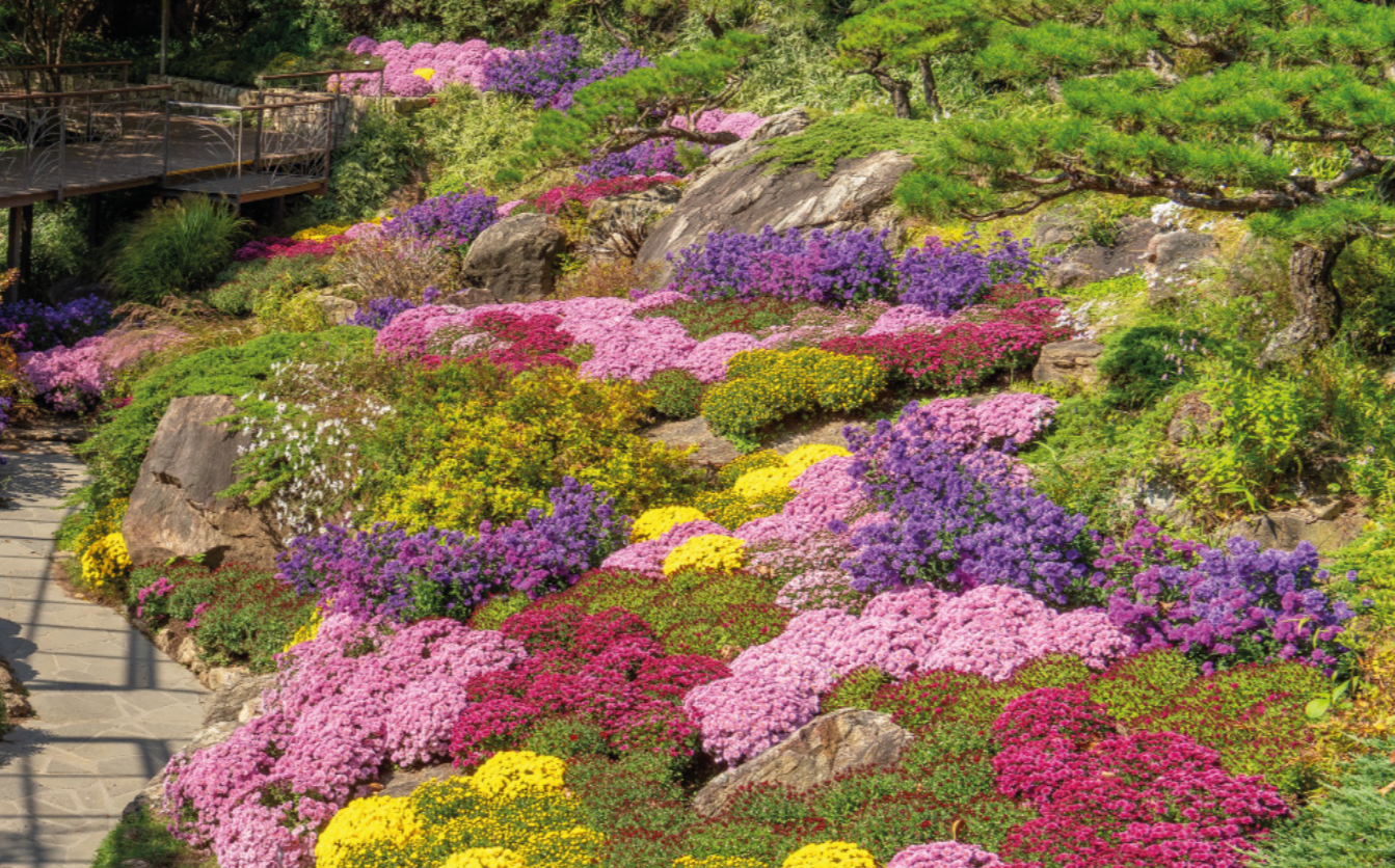 화담숲 예약방법 예약하기 단풍 절정 모노레일 정보