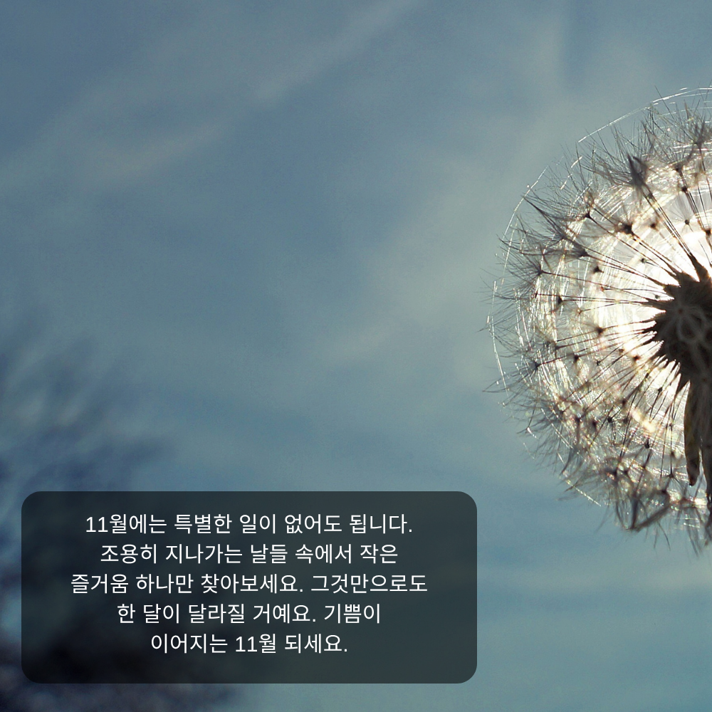 11월 인사말 18 소소한 즐거움 찾는 11월 인사말 이미지