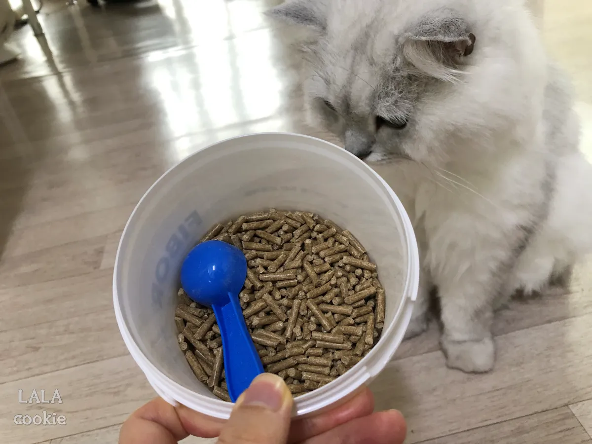 고양이-변비-장-사료-추천-후기-파이보-내용물-길쭉한-모양