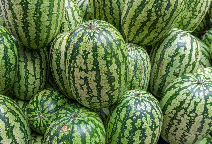 수박의 놀라운 효능