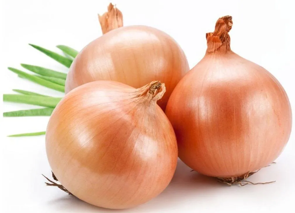 양파