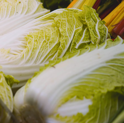 배추 효능 부작용 칼로리