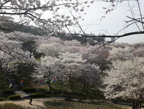 안산 도시자연공원 이미지