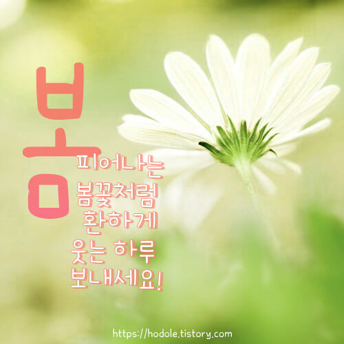 봄-인사말-이미지