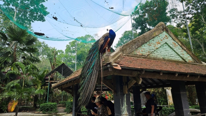 사이공동식물원1