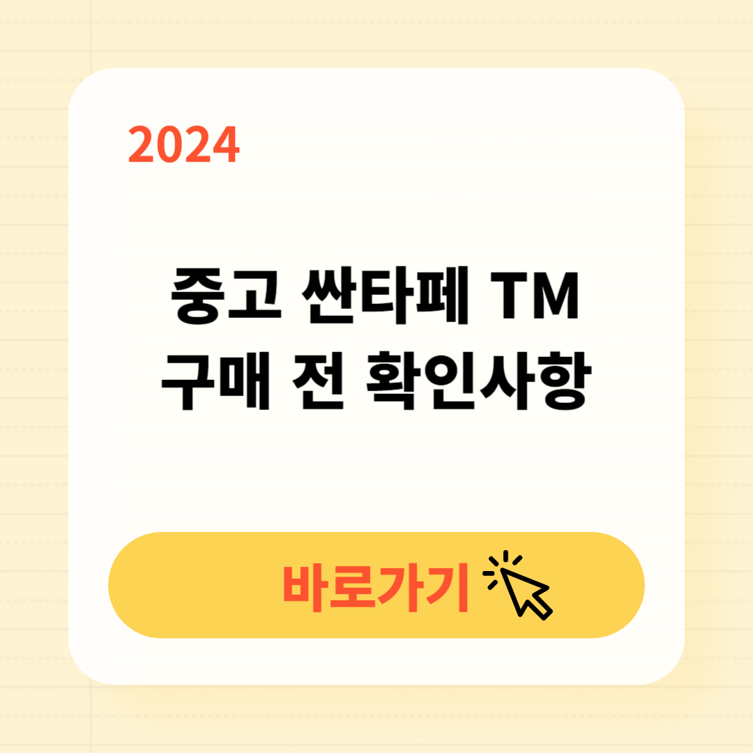현대 싼타페 TM 고질병 중고가격