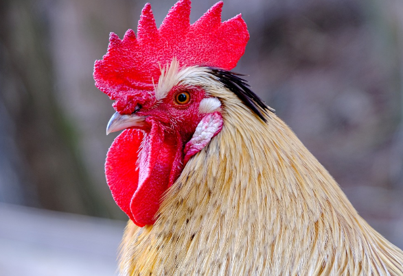 오늘의 운세 11월 1일