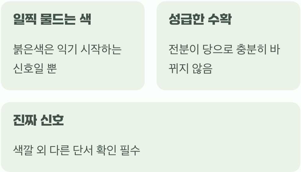 붉은색의 함정&amp;#44; 겉모습에 속지 마세요