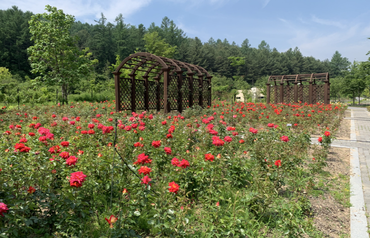 백두대간 수목원
