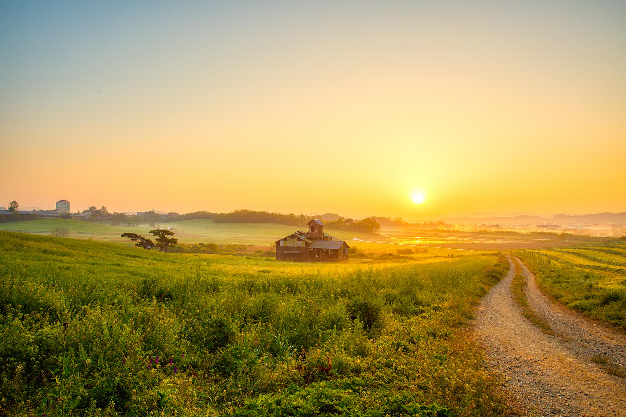 안성목장 일출3