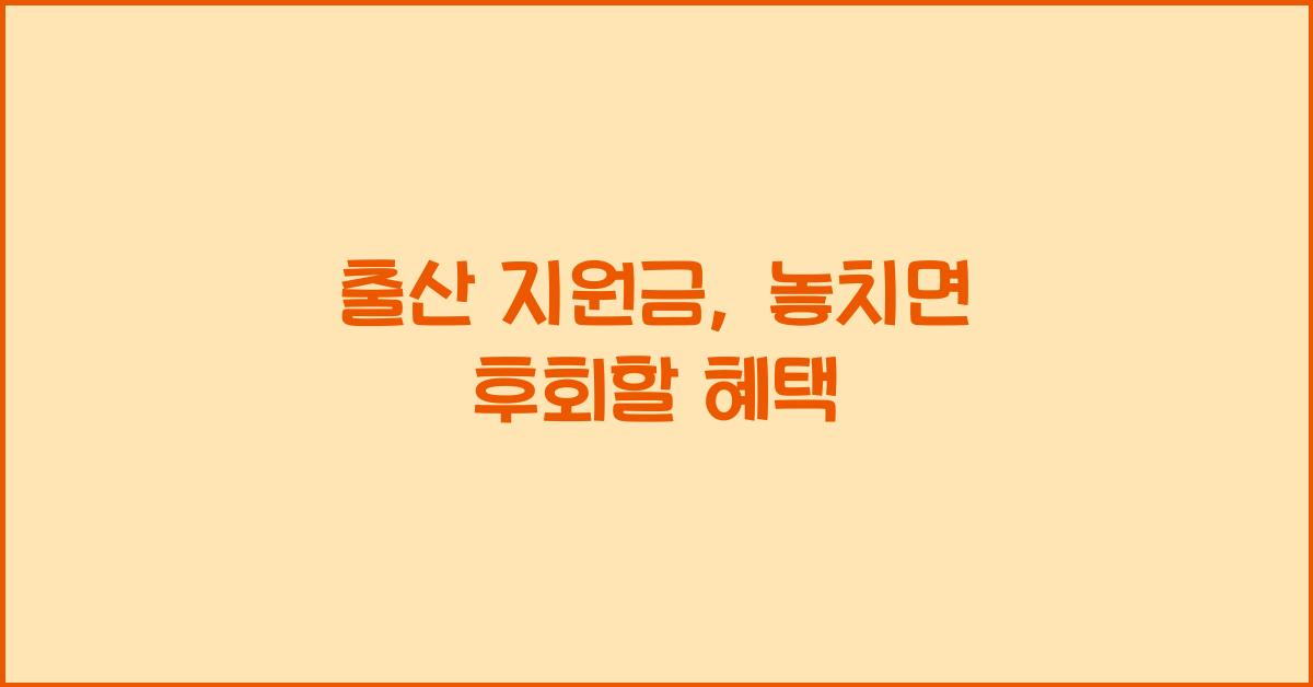 출산 지원금