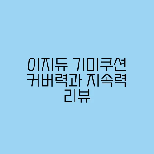 이지듀 기미쿠션 커버력과 지속력 리뷰