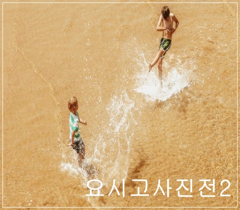 요시고사진전 그림