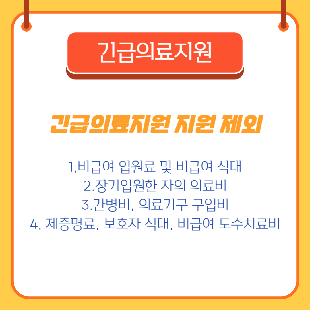 긴급의료지원 지원 제외