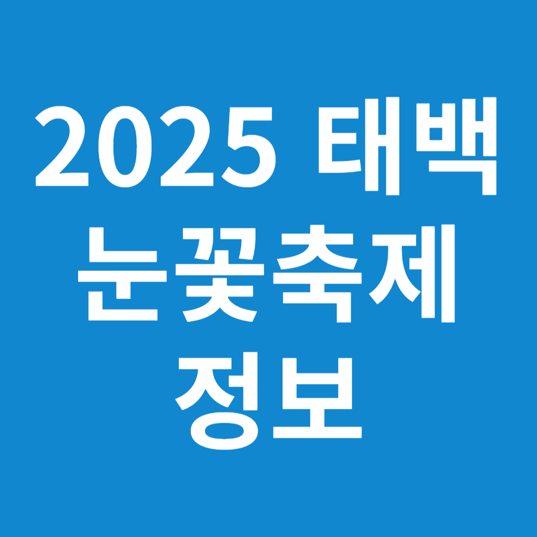 2025 태백 눈꽃축제