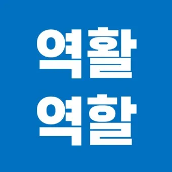 역할 역활 차이 의미 사용방법 맞춤법_20