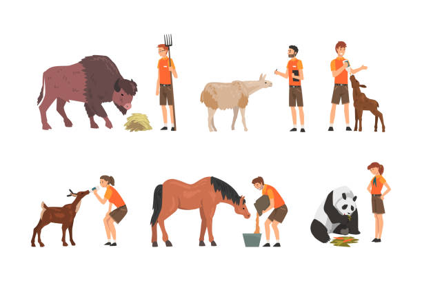 사육사가 되기 위한 경력 예시