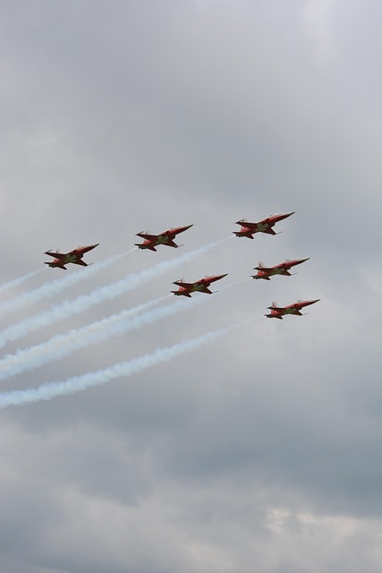 동원예비군 기간 불참 연기하기