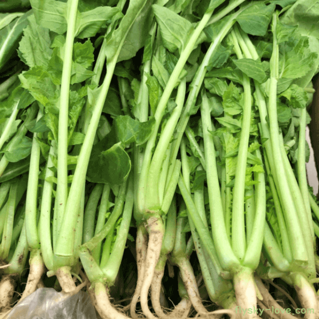 아삭하고 상큼한 여름 채소 열무