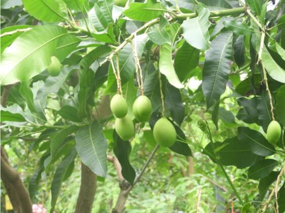 2025 함평 나비 축제 일정부터 주차·입장료까지! 꿀팁 총정리