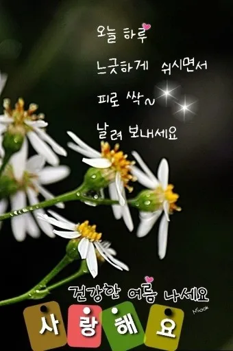 안부인사글 안부 인사말 3월 4월 5월 센스있는 인사말 모음_5