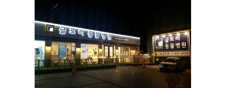 서울 금천구 동물병원