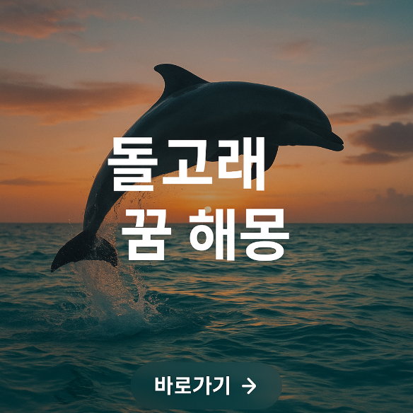 돌고래 꿈 해몽