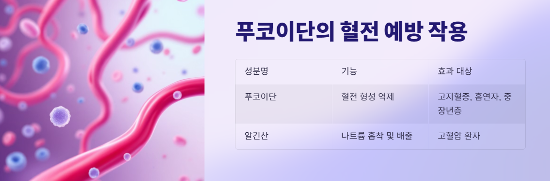 푸코이단의 혈전 예방 작용