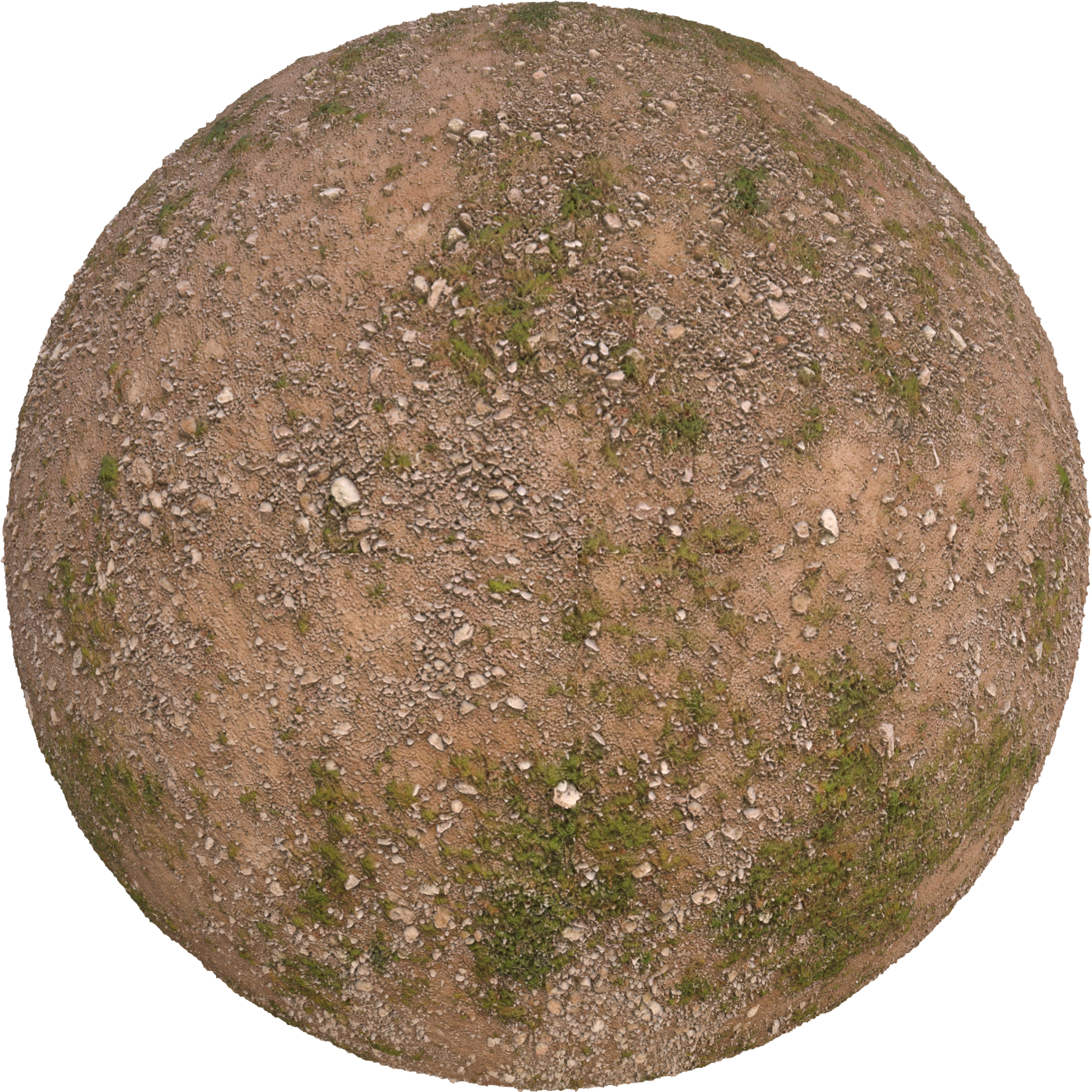 rough dry soil pbr texture sbsar 3