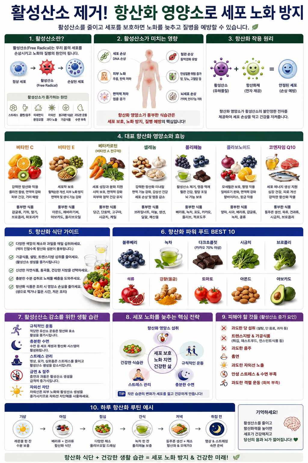 활성산소 제거 항산화 영양소 세포 노화 방지