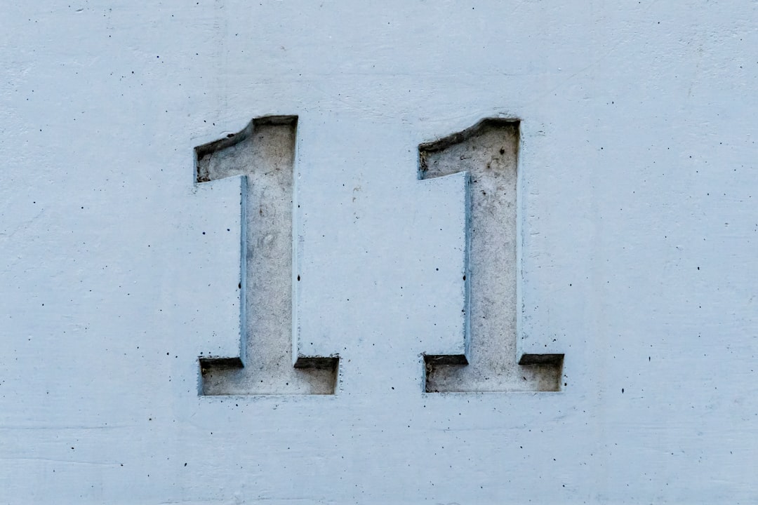 번호 (Number)