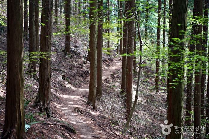 장성 가볼만한곳 베스트10