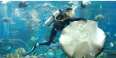 나트랑 빈원더스