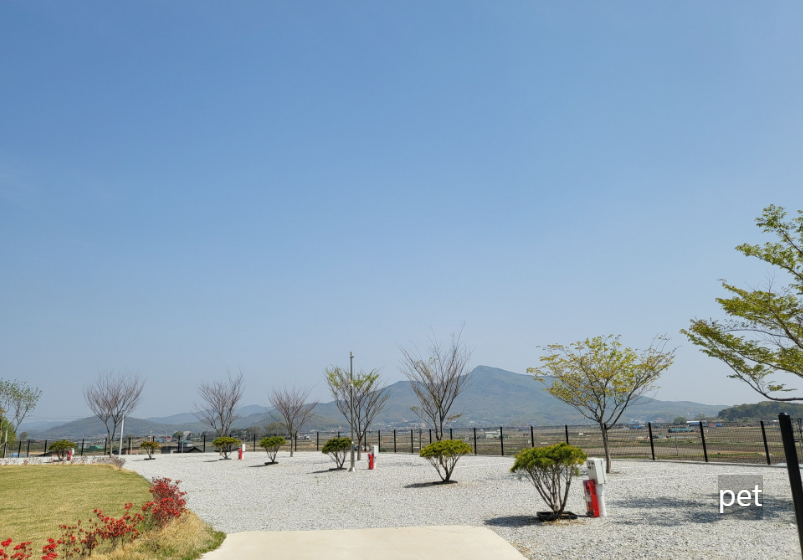 경기-인천-어썸캠핑장-예약-방법-애견-동반-가격-주소-시간-후기