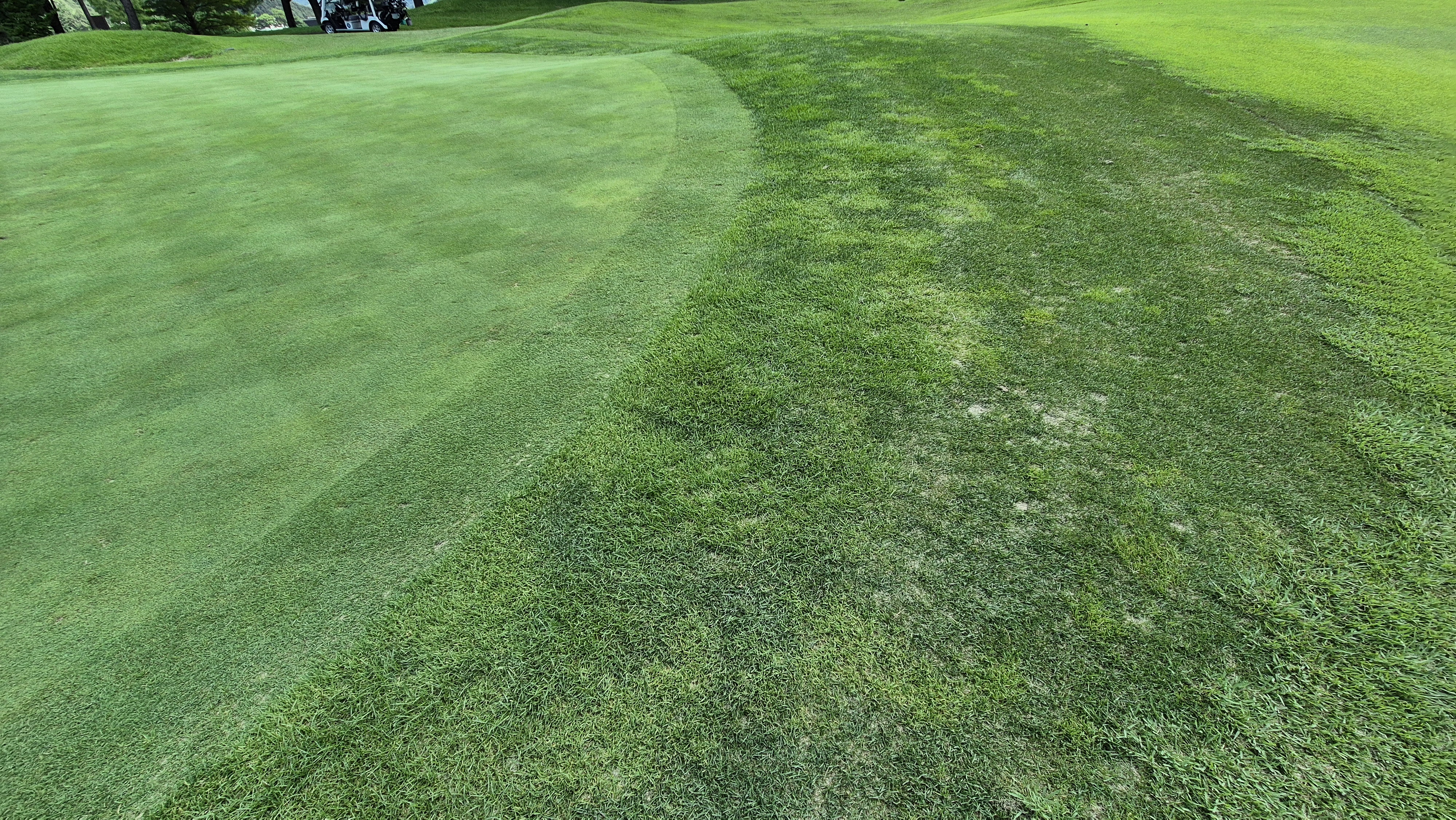 골프존카운티 천안 라운드 후기