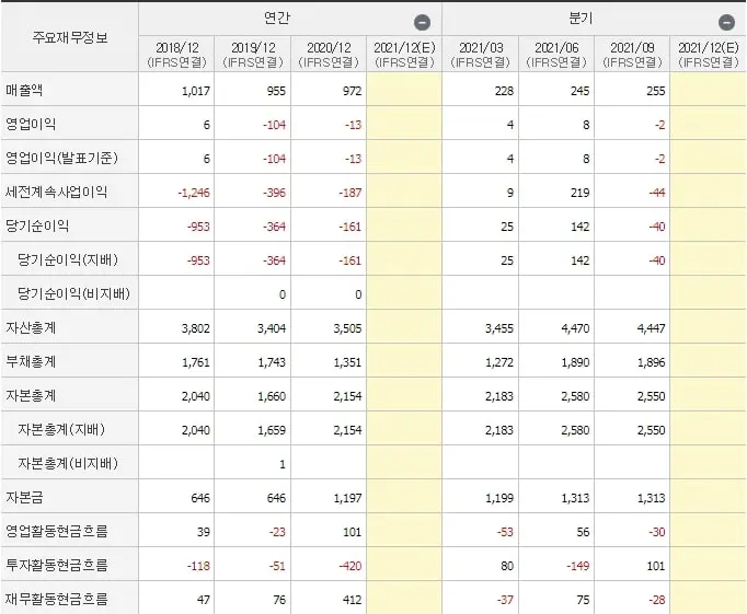 쌍방울 재무제표