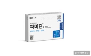 파미딘정-박스입니다.