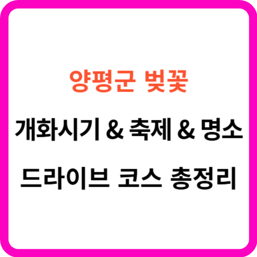 양평 벚꽃 개화시기 축제 명소 드라이브 코스 총정리 썸네일