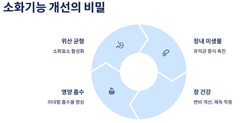 감식초 효능
